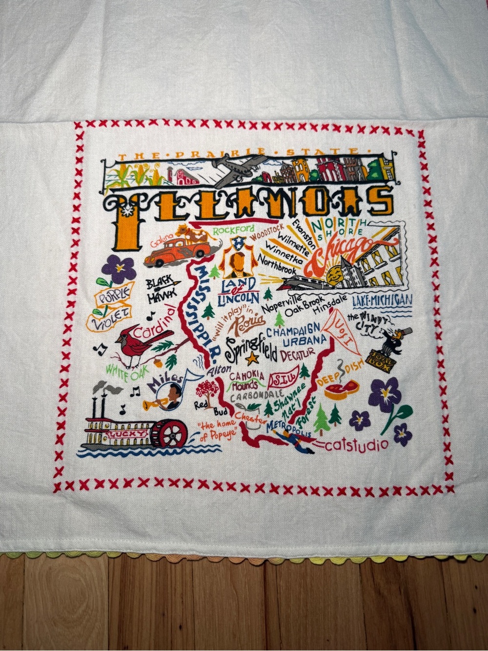 CatStudio Illinois Dish Tea Towel